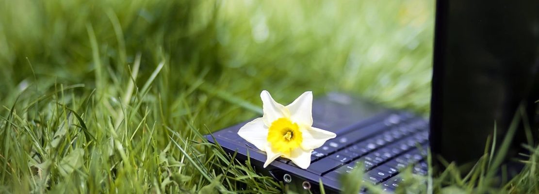 Online learning concept
