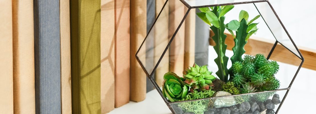 Florarium vase with plants on book shelf