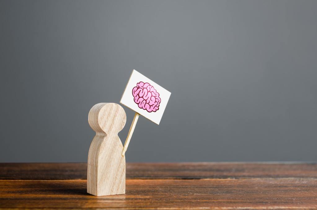 Emotionales Lernen: Die entscheidende Rolle der Amygdala im Lernprozess 2 Emotionales Lernen: Die entscheidende Rolle der Amygdala im Lernprozess