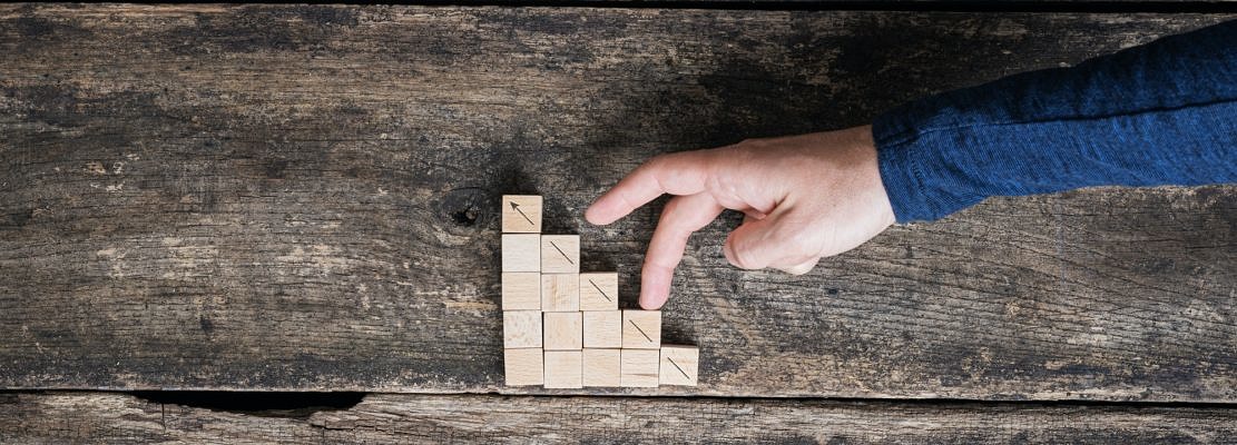 Personal vision of growth and development