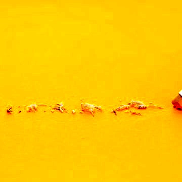 Die 5 größten Fehler, die Sie bei der Entwicklung von eLearning-Kursen vermeiden sollten 
