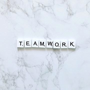 Was können wir von Bienen über Teamwork lernen? 