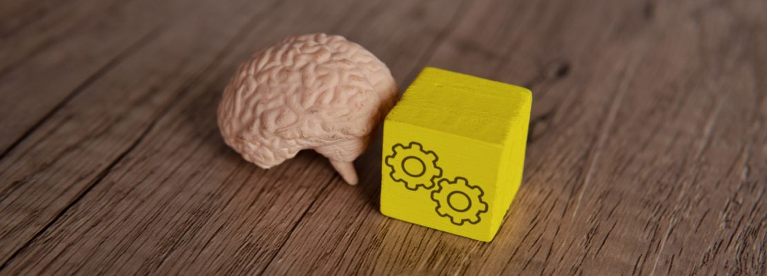 Human brain and wooden block with cogwheel icon.