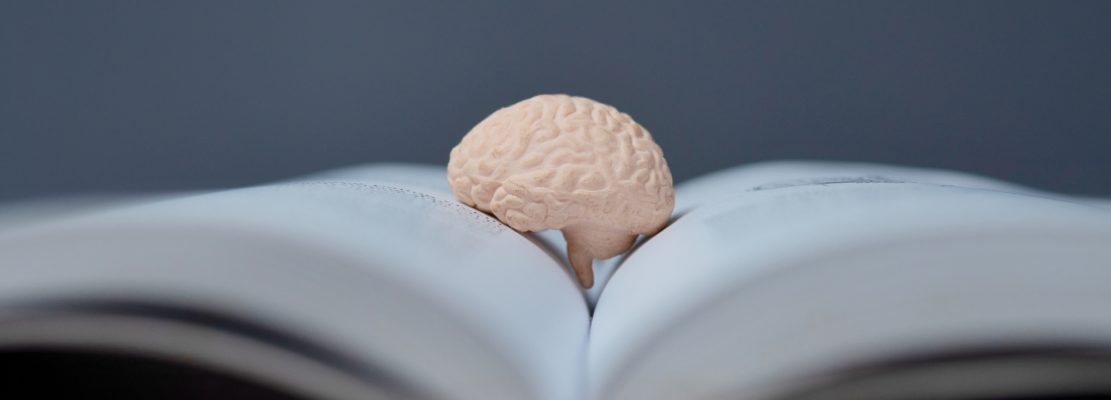 A close-up image of a small human brain model on an open book.