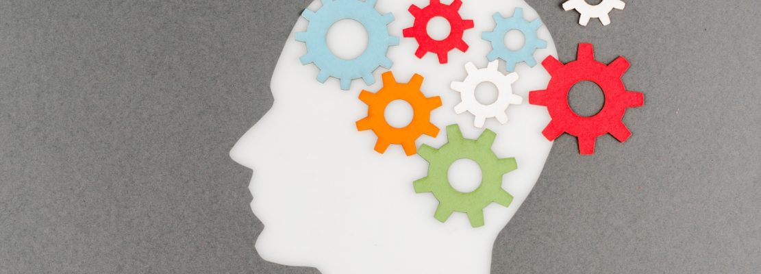 top view of cut out white human head with colorful gears isolated on grey, panoramic shot