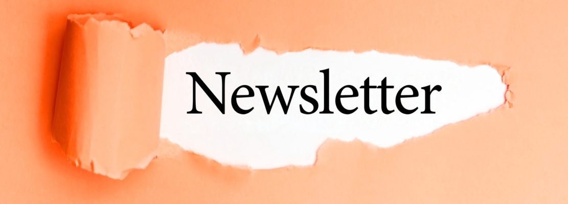 Word Newsletter on a white background of torn colored paper.