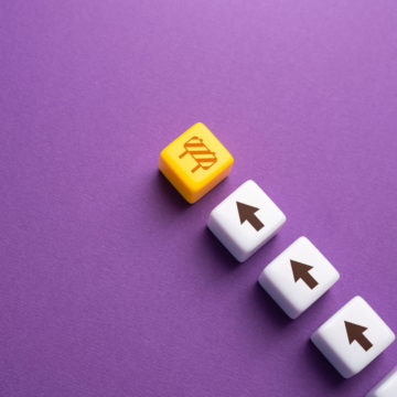 Der stille Effizienzkiller: Warum isolierte Lernsysteme Unternehmen ausbremsen 